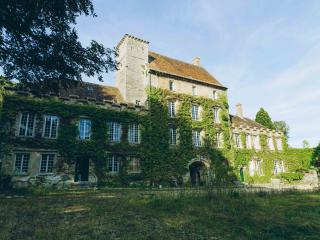 Photo du château de Paley
