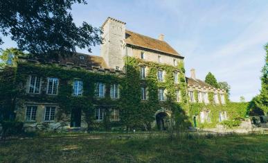 Photo du château de Paley