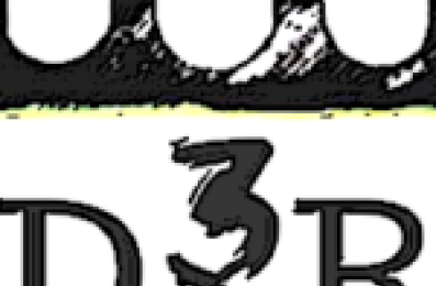 logo-d3r