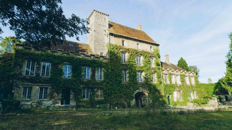 Photo du château de Paley